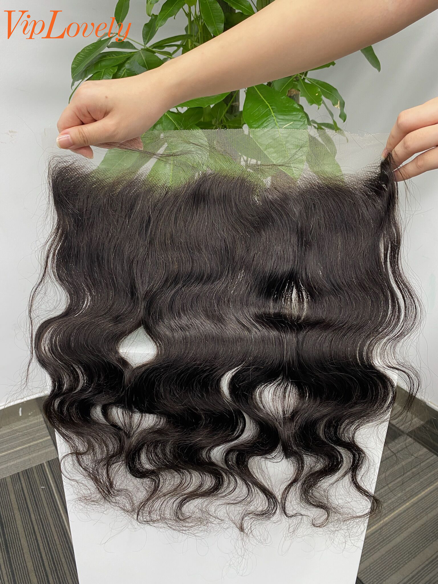 13×4 HD Lace Body Wave 12 14 16Inch Free Shipping